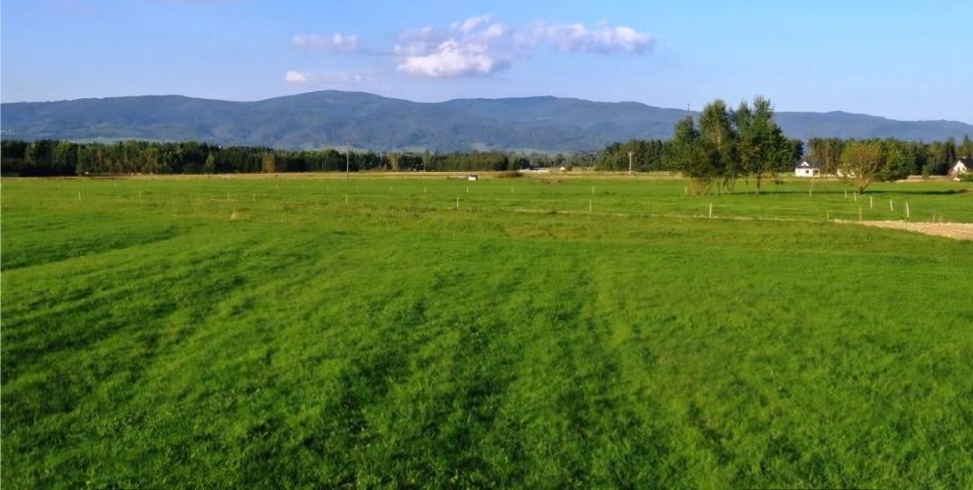 Działka budowlana Bór, ul. Leśna