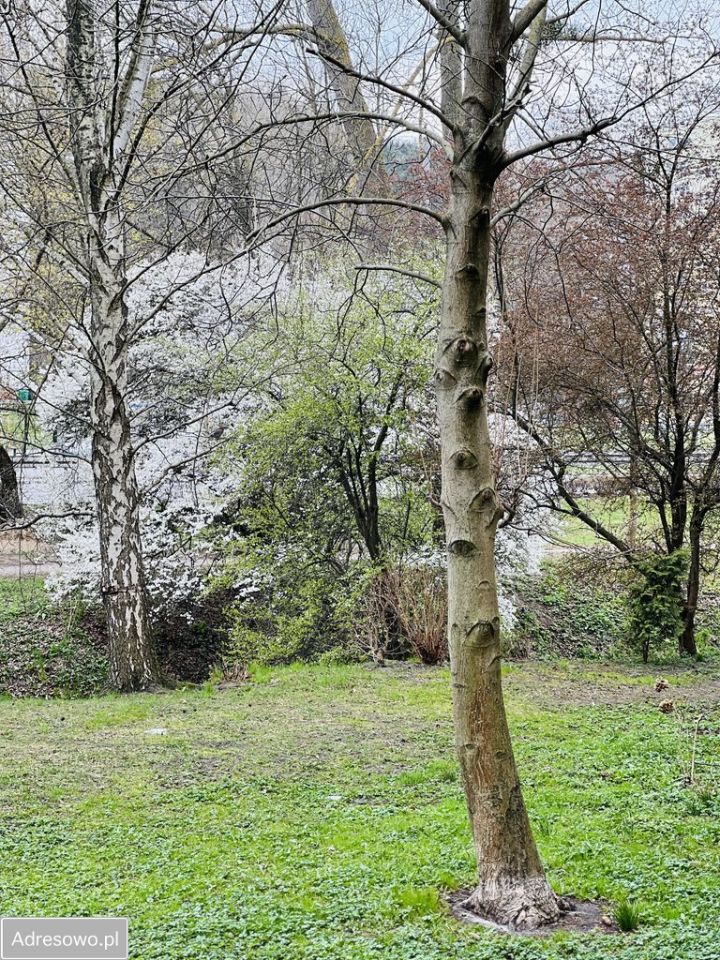 Mieszkanie 2-pokojowe Gdynia Cisowa, ul. Kcyńska. Zdjęcie 12