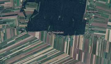 Działka rolna Las Gliniański