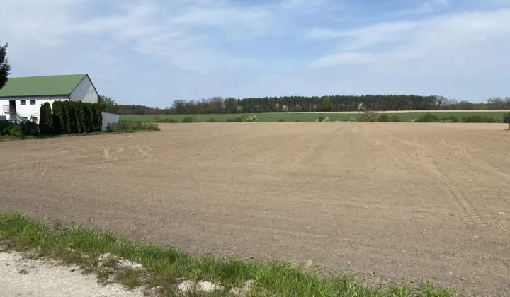 Działka budowlana Rojewo