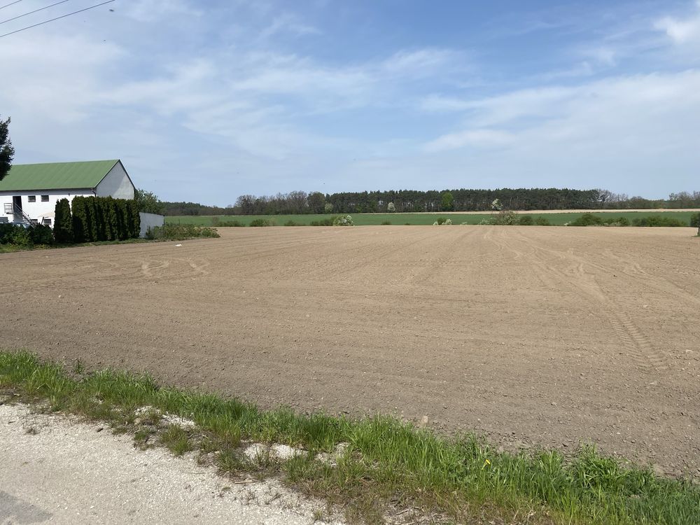 Działka budowlana Rojewo