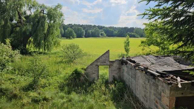 siedlisko, 3 pokoje Wólka Orłowska. Zdjęcie 10