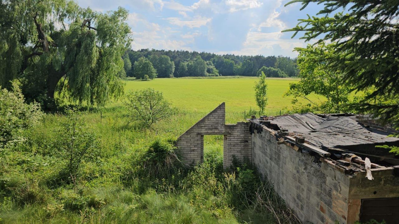siedlisko, 3 pokoje Wólka Orłowska. Zdjęcie 10