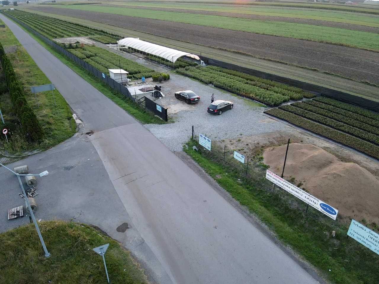 Działka inwestycyjna Kolonia Domaszewnica. Zdjęcie 2