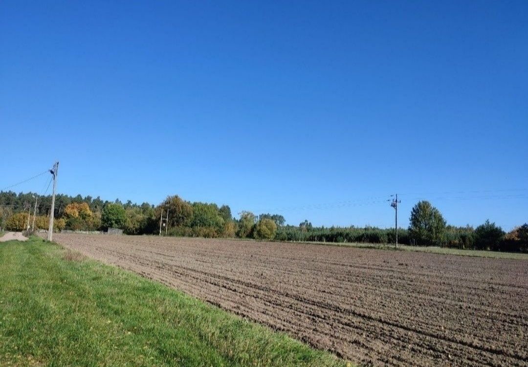 Działka Szczypiornia. Zdjęcie 3