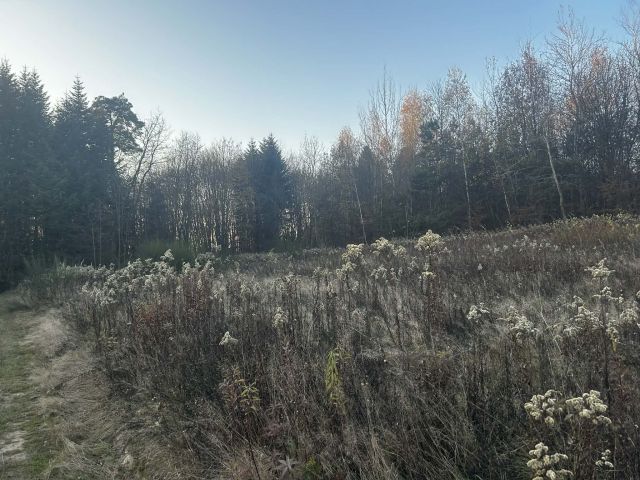 Działka budowlana Babice Półanki. Zdjęcie 1