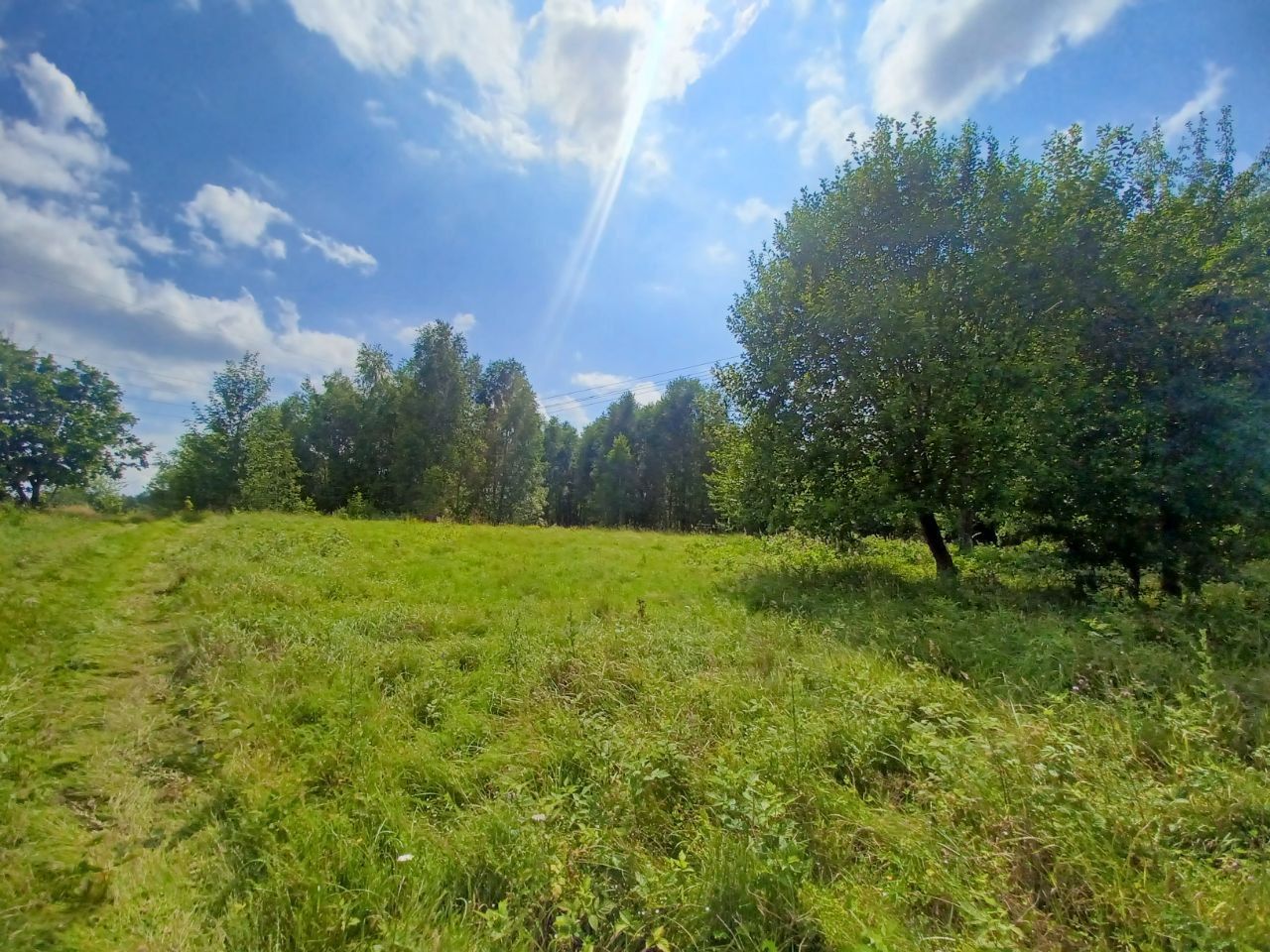 Działka budowlana Kołtki. Zdjęcie 12