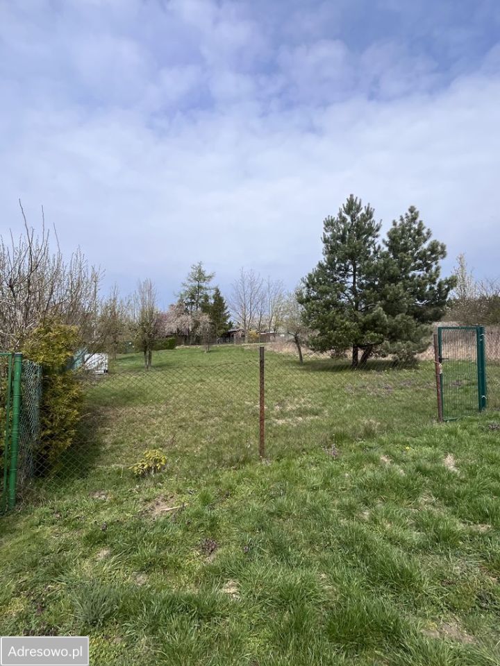 Działka rekreacyjna Torzym. Zdjęcie 2