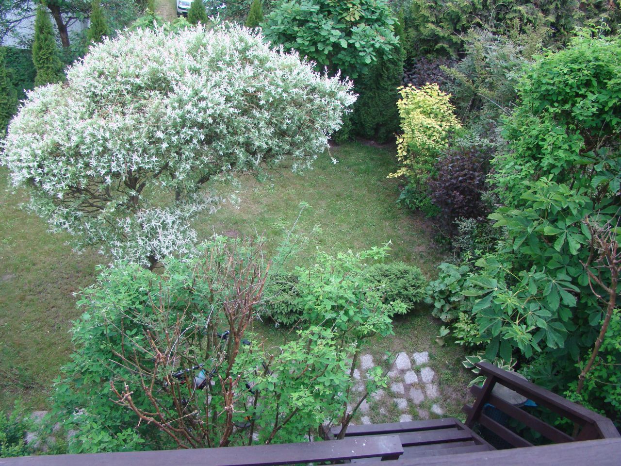 Działka rekreacyjna Czarne Małe. Zdjęcie 31