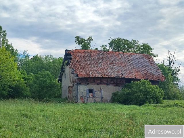 Działka siedliskowa Grzęda. Zdjęcie 1