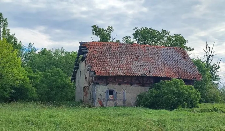 Działka siedliskowa Grzęda