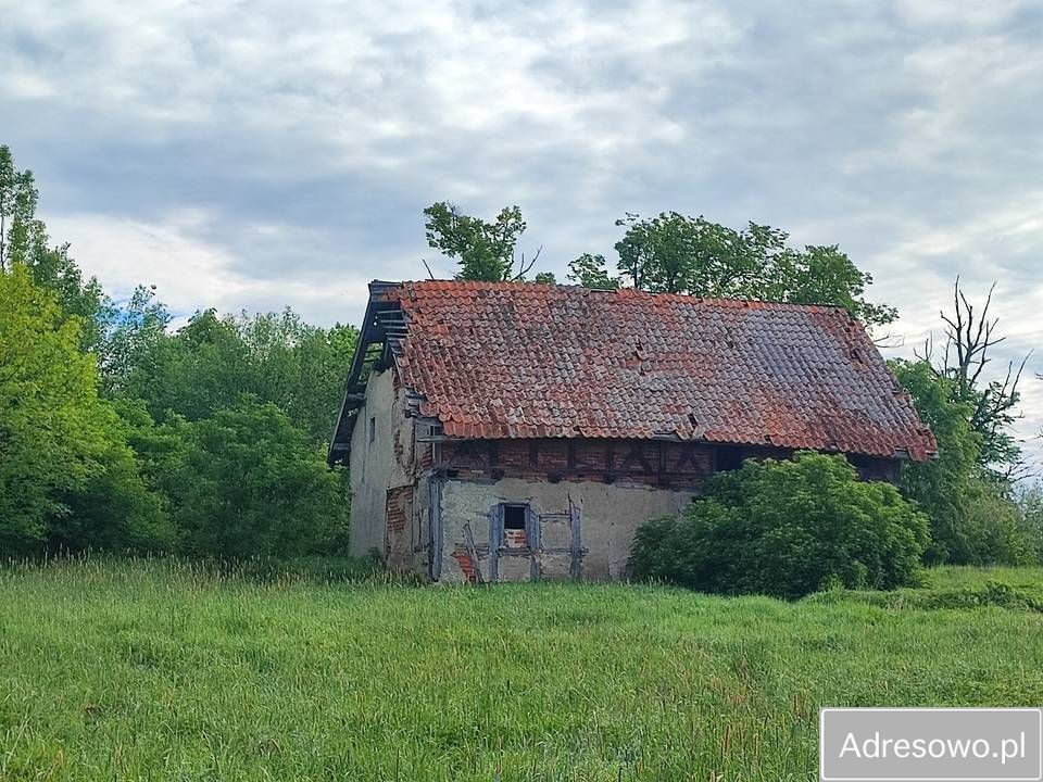 Działka siedliskowa Grzęda