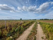 Działka budowlana Gortatowo Gortatowo-Huby, ul. Daleka. Zdjęcie 3