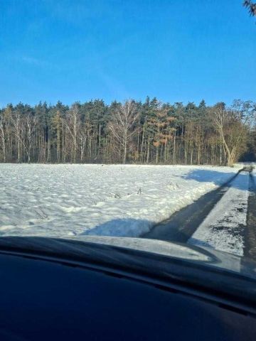 Działka budowlana Żółwiny. Zdjęcie 1