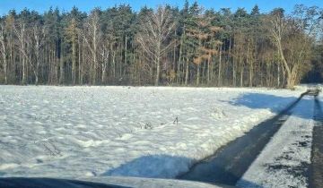 Działka budowlana Żółwiny