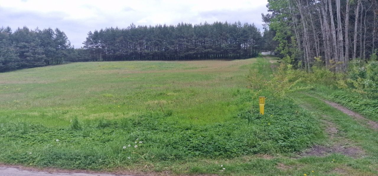 Działka budowlana Kocikowa Wola Kocikowa. Zdjęcie 6