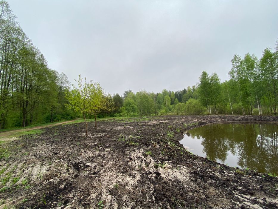 Działka budowlana Płaska. Zdjęcie 4