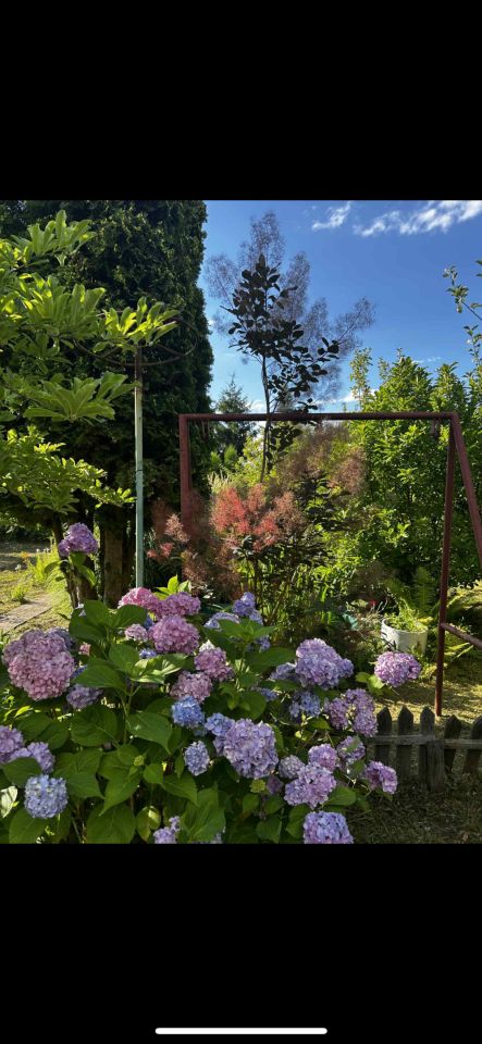 Działka rod Tarnobrzeg Wymysłów. Zdjęcie 8