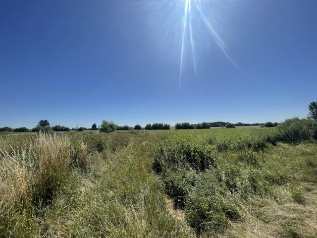 Działka budowlana Gaworzyce, ul. Bankowa. Zdjęcie 1