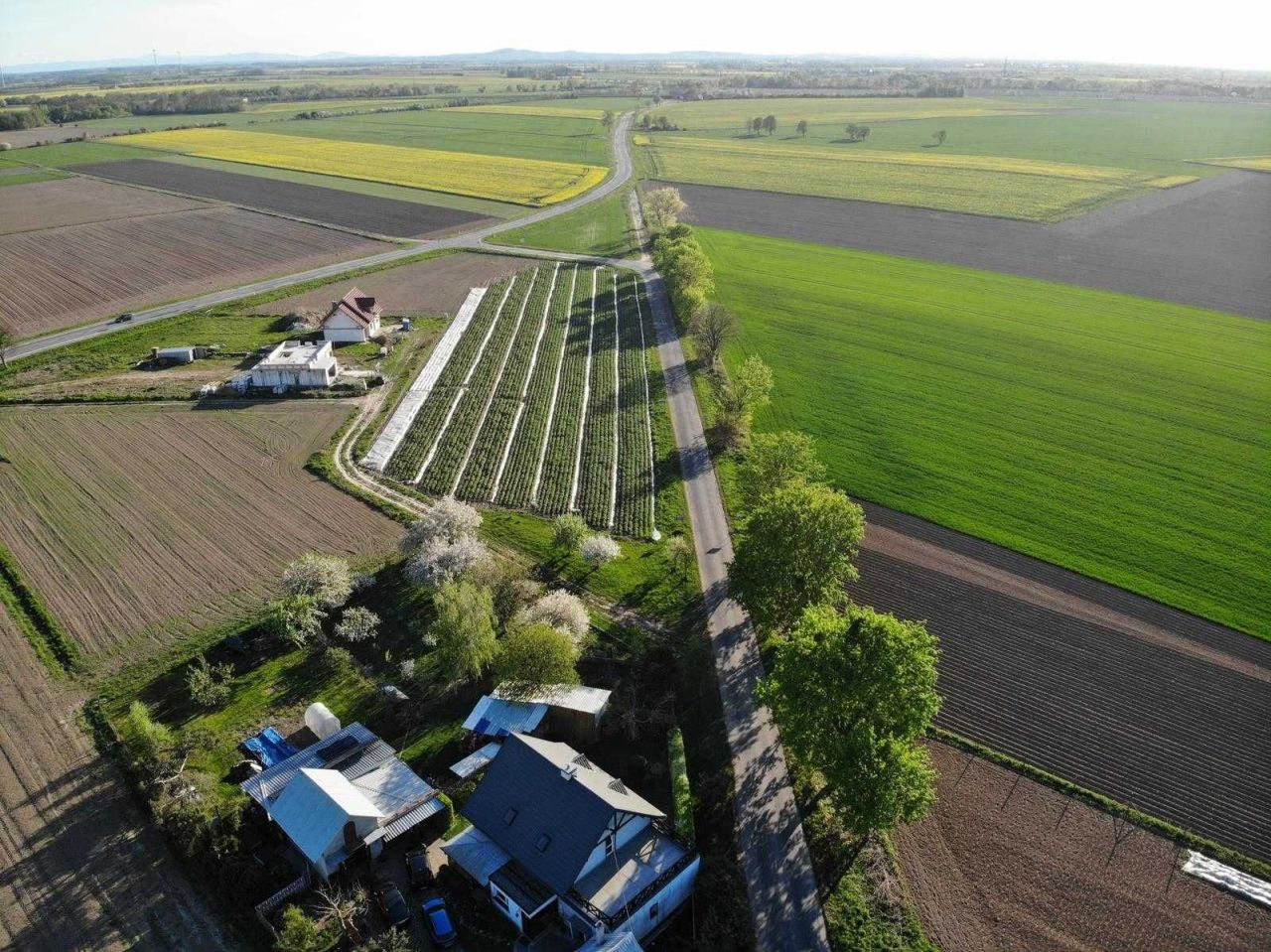 Działka budowlana Owczary. Zdjęcie 4