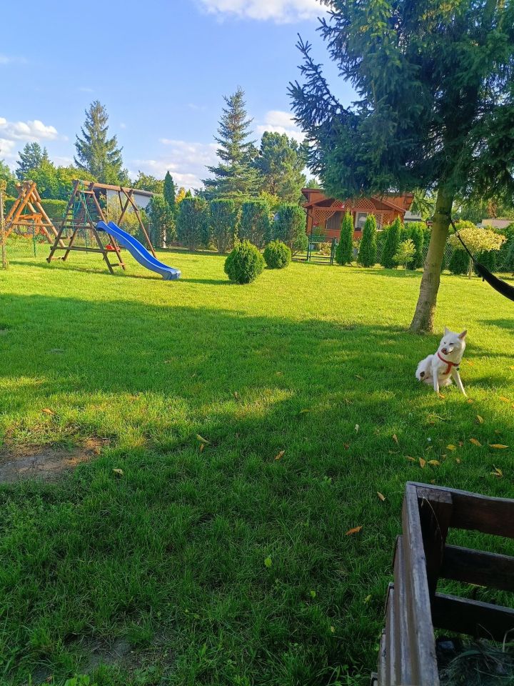 Działka rod Piła, al. Wojska Polskiego. Zdjęcie 6