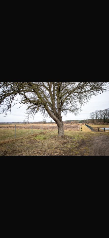 Działka siedliskowa Pleśno. Zdjęcie 6