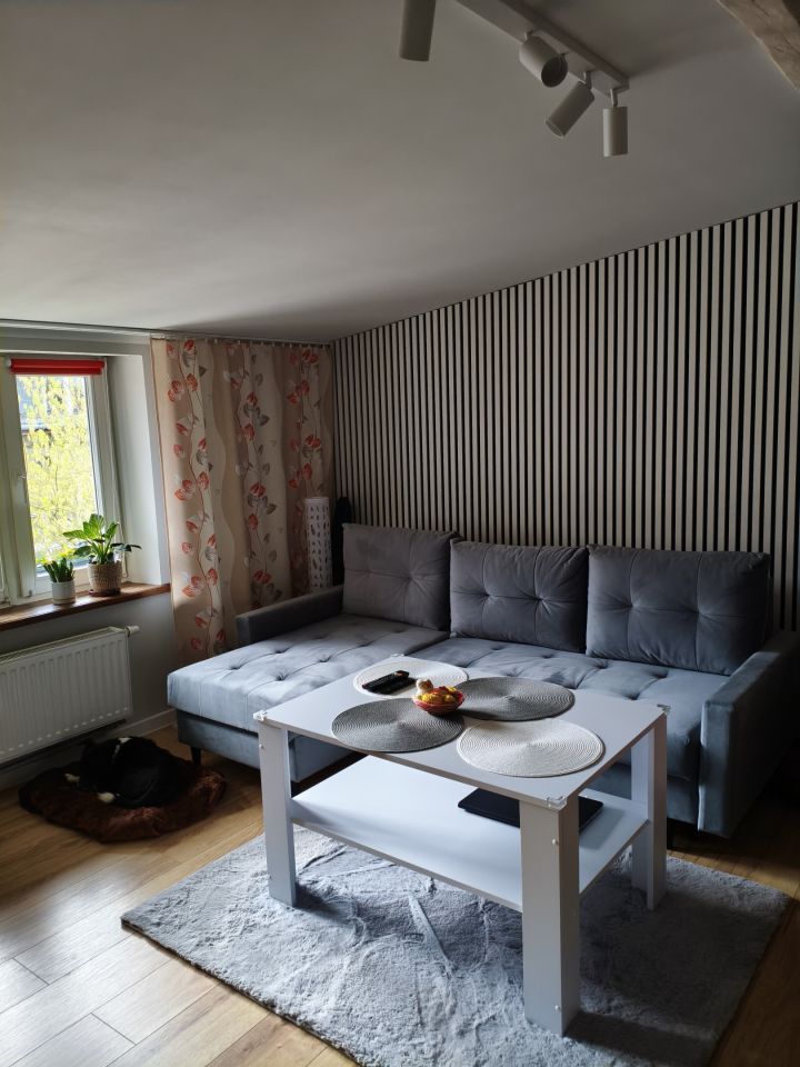 Mieszkanie 1-pokojowe Kraków Podgórze, ul. Romualda Traugutta. Zdjęcie 1