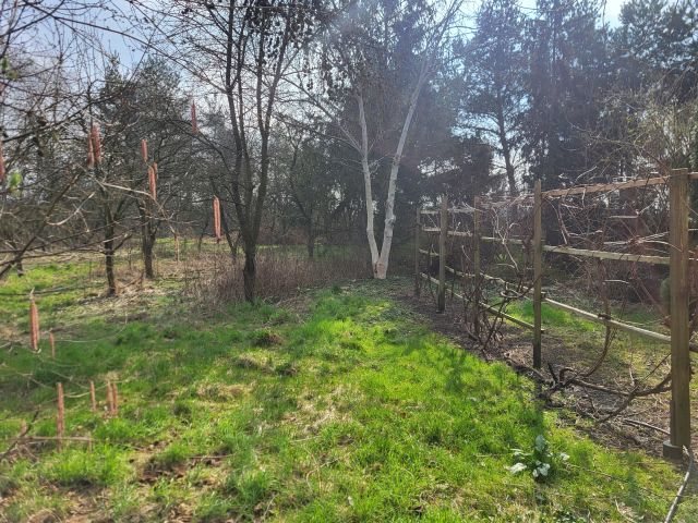 budynek wielorodzinny, 4 pokoje Krapkowice, ul. Limanowskiego. Zdjęcie 18