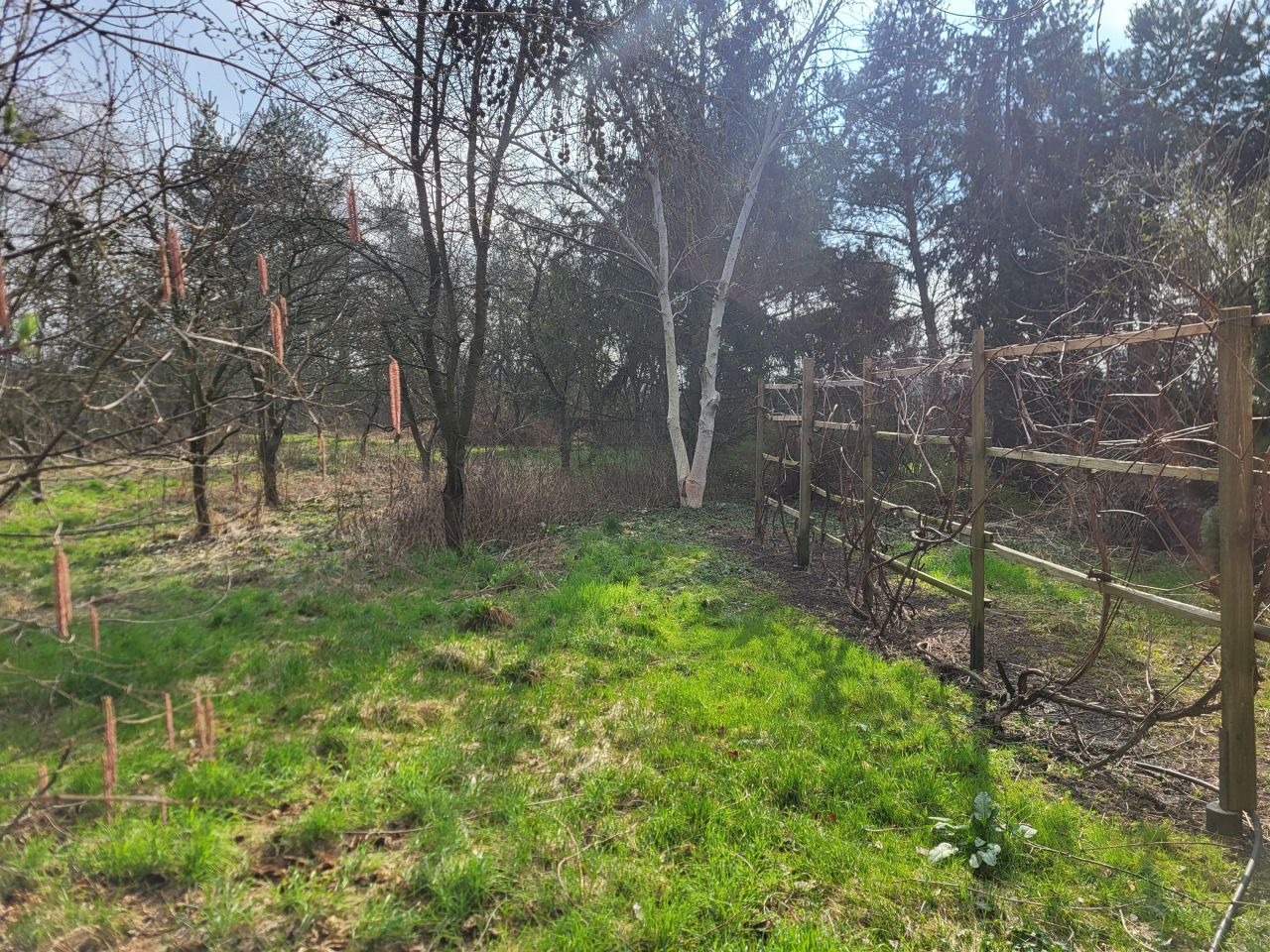 budynek wielorodzinny, 4 pokoje Krapkowice, ul. Limanowskiego. Zdjęcie 18