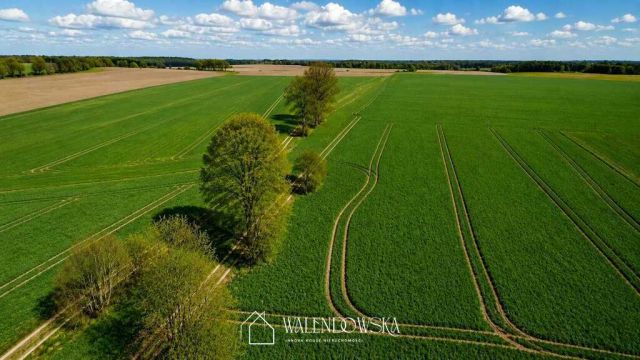 Działka siedliskowa Łabiszewo. Zdjęcie 1