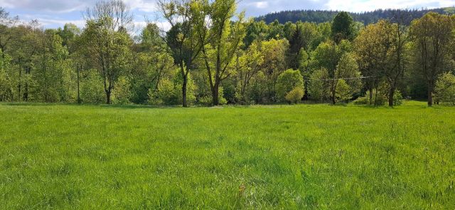 Działka budowlana Świerki. Zdjęcie 1
