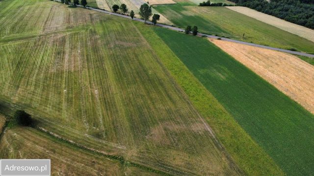 Działka rolna Stoczek. Zdjęcie 1