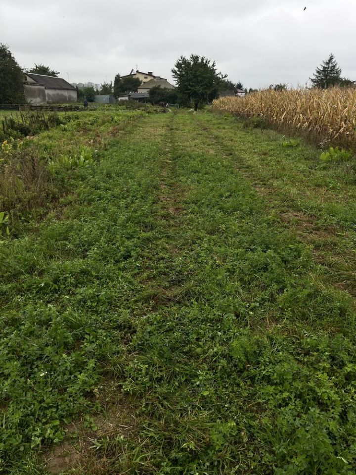 Działka rolno-budowlana Kalinówka. Zdjęcie 6