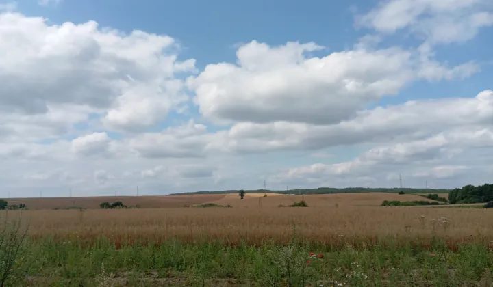 Działka budowlana Chojnice, ul. ks. Jana Twardowskiego