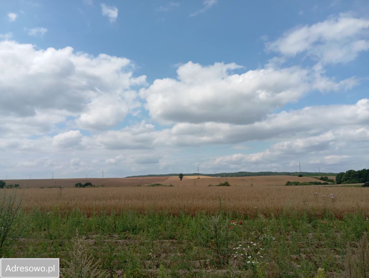 Działka budowlana Chojnice, ul. ks. Jana Twardowskiego