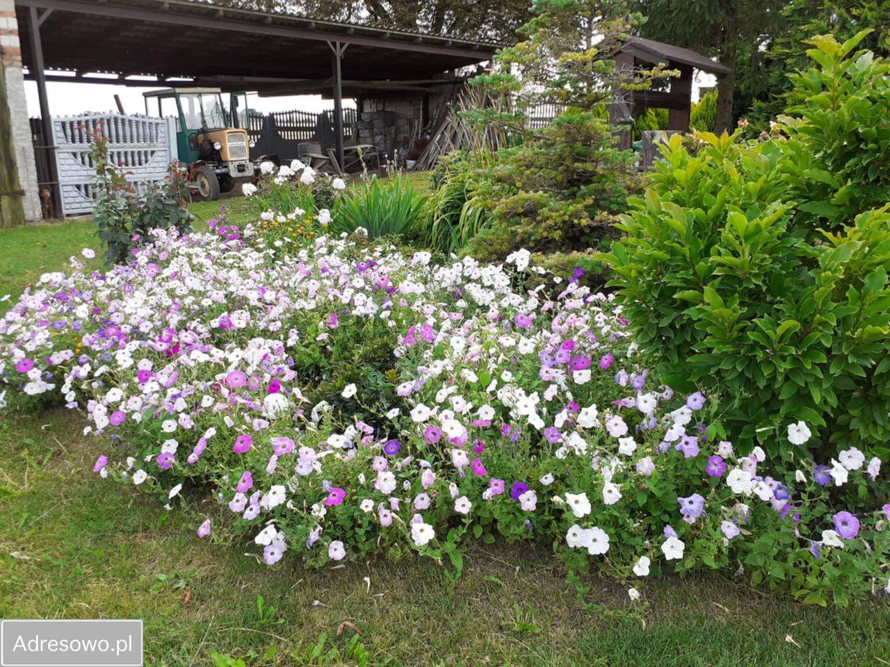 siedlisko Taszewskie Pole. Zdjęcie 7