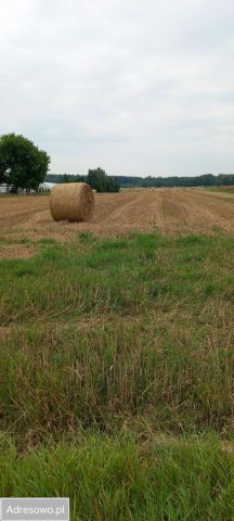 Działka budowlana Tarnowskie Góry Repty, ul. ks. Henryka Renka. Zdjęcie 1