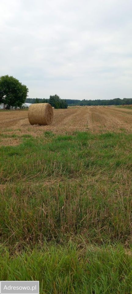 Działka budowlana Tarnowskie Góry Repty, ul. ks. Henryka Renka