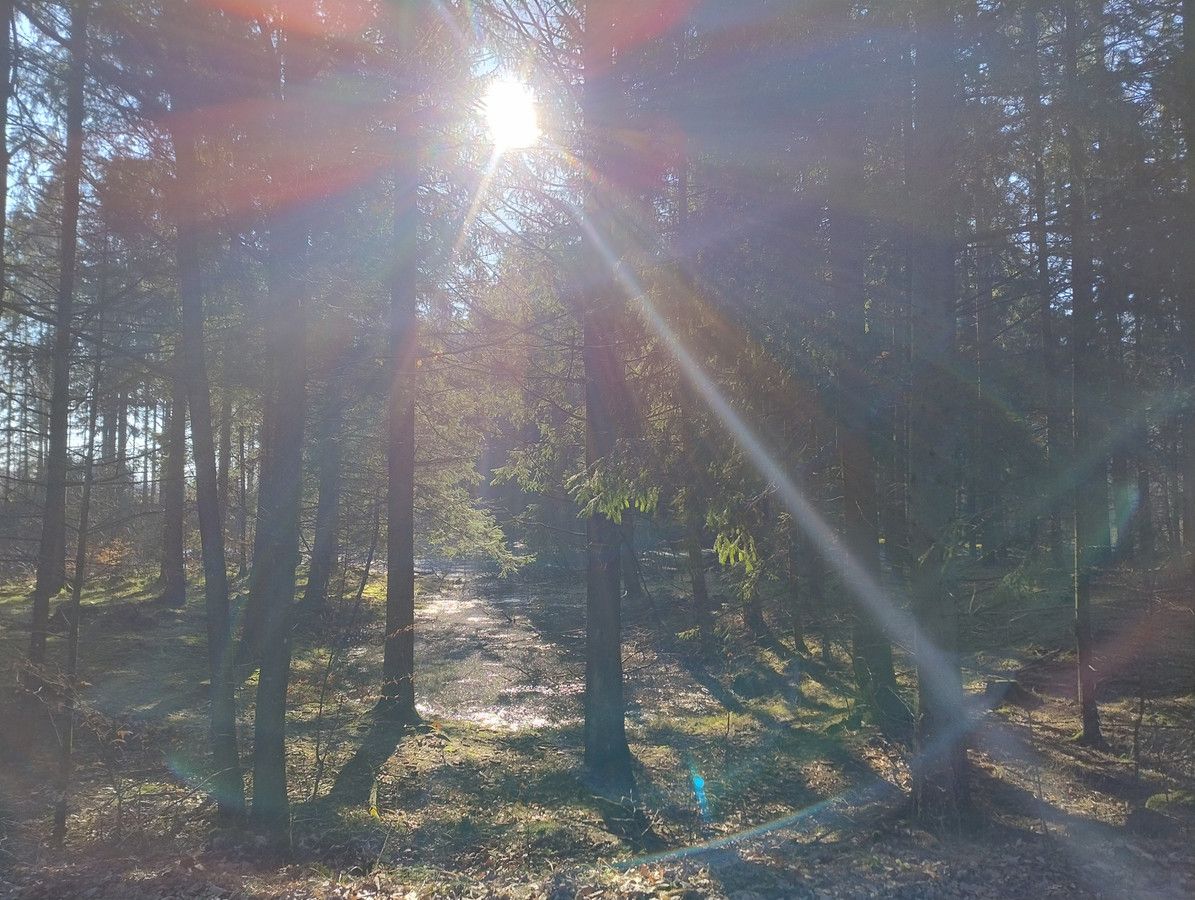 Działka rolno-budowlana Studzianka