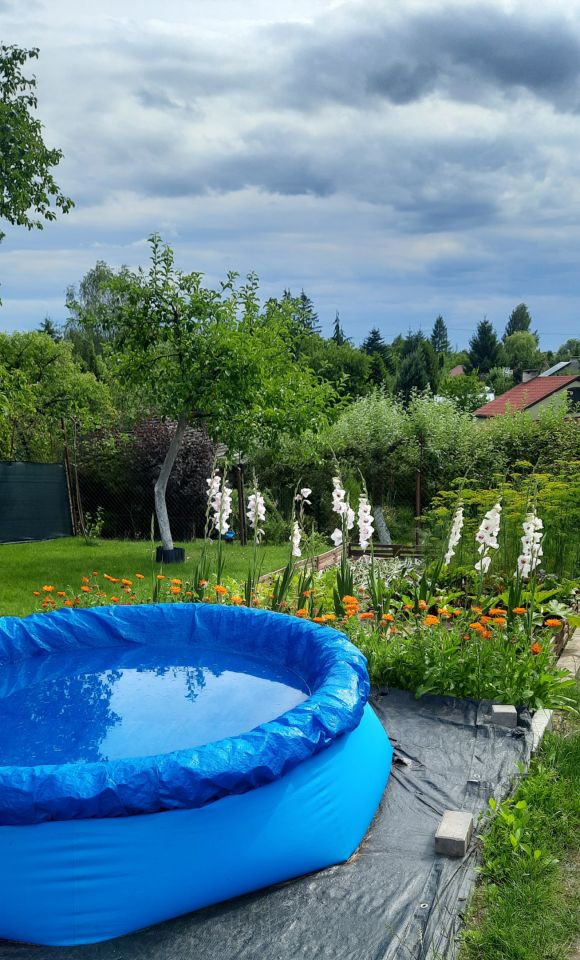 Działka rod Klebark Mały. Zdjęcie 2