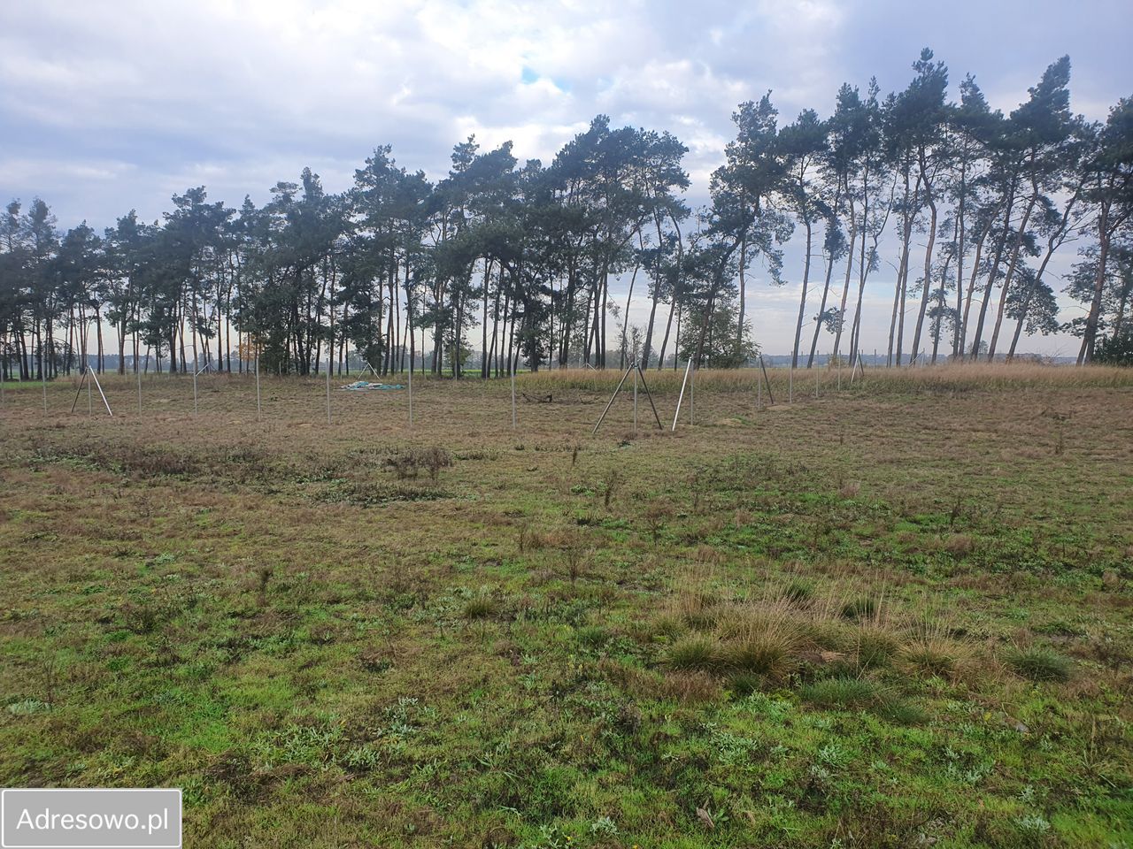 Działka budowlana Murzynowiec Leśny. Zdjęcie 6