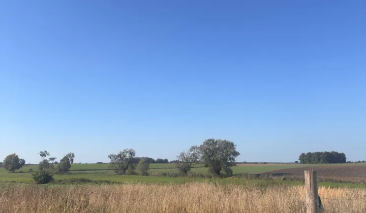 Działka budowlana Kaźmierz, ul. Czereśniowa