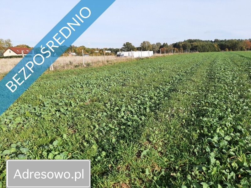 Działka rolno-budowlana Pobłocie. Zdjęcie 6