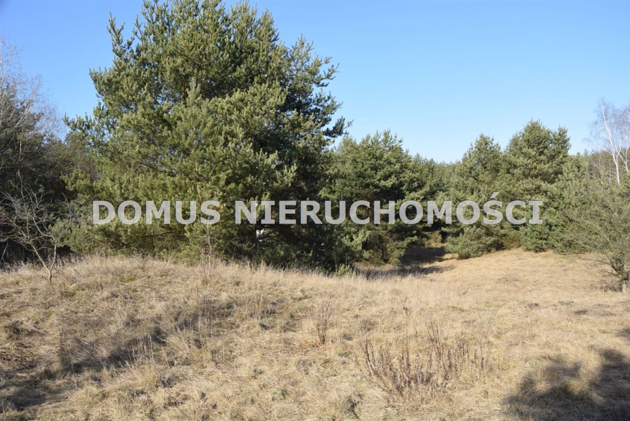 Działka Tworzyjanki