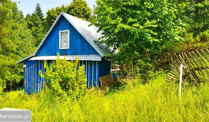 dom wolnostojący, 4 pokoje Krzyżówki