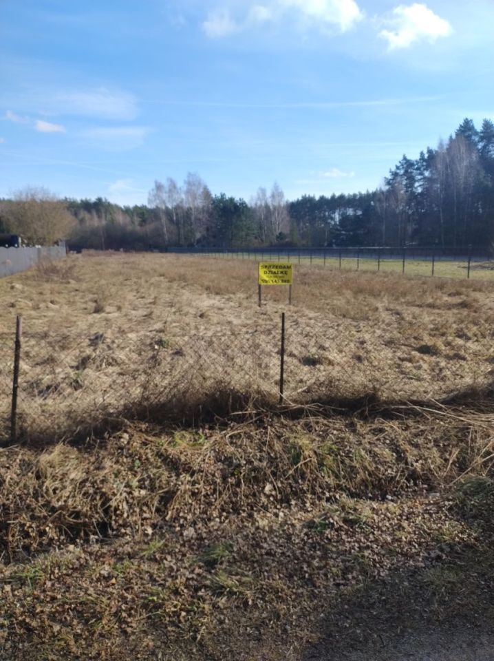 Działka budowlana Świerczyna. Zdjęcie 1