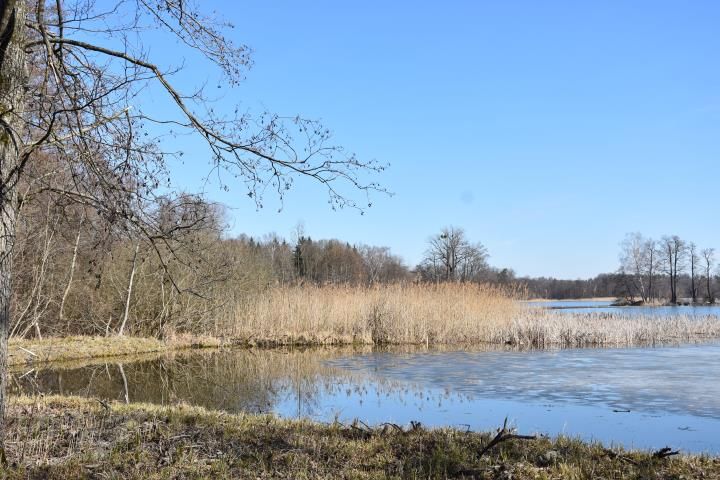Działka rekreacyjna Zajezierze. Zdjęcie 3