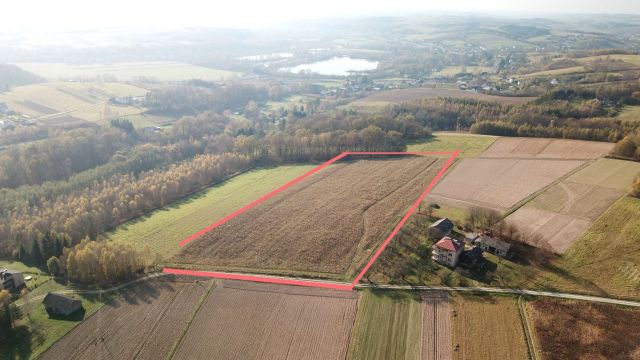 Działka budowlana Lisów. Zdjęcie 1