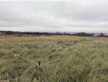 Działka budowlana Szczecin Bukowo, ul. Orna. Zdjęcie 3