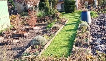 Działka rod Czerwieńsk